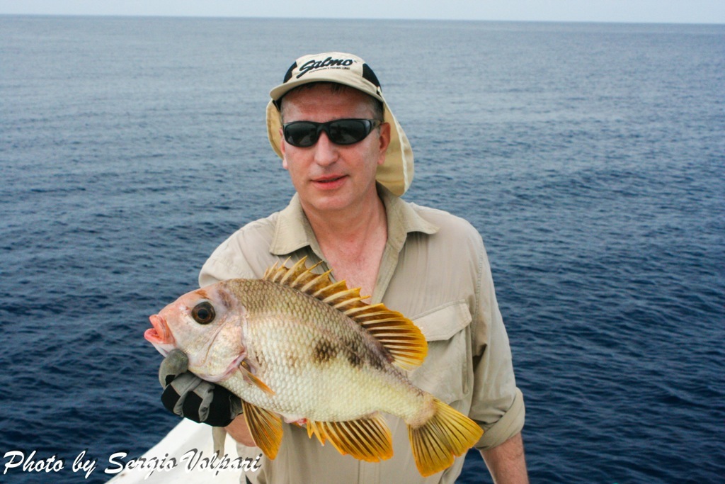 pesci-maldiviani